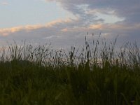 06-18-11-Mattawoman-1735