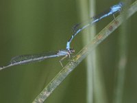 06-26-101-Piscataway-2788