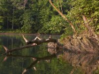07-04-11-Triadelphia Lake-3449