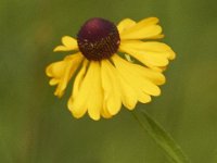 07-04-11-Triadelphia Lake-3485