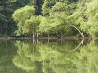 07-04-11-Triadelphia Lake-3521
