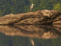 07-09-11-West Rocky Gorge-3640