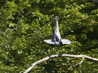 07-09-11-West Rocky Gorge-3824