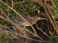07-16-11-Skipton Creek-3943