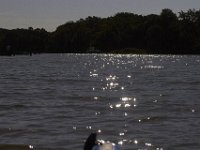 07-16-11-Skipton Creek-4176