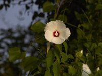 07-30-11-Mattawoman-6953