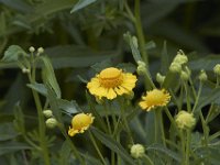08-13-11-Mattawoman-7480