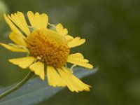 08-13-11-Mattawoman-7486