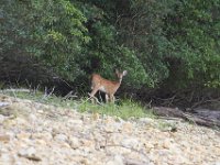 09-03-11-Rocky Gorge-8155