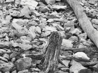 09-03-11-Rocky Gorge-8251