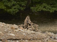 09-03-11-Rocky Gorge-8283