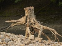 09-03-11-Rocky Gorge-8288