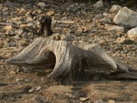 09-03-11-Rocky Gorge-8296