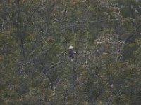 09-17-11-Rt 4-8877