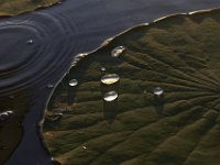 10-07-11-Mattawoman-9610