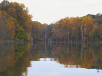 10-22-11-Little Seneca Lake-0556