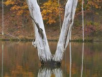 10-22-11-Little Seneca Lake-0617