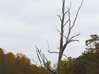 10-22-11-Little Seneca Lake-0624