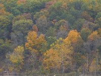 10-22-11-Little Seneca Lake-0632