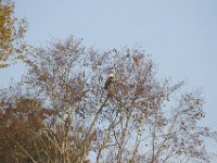 10-23-11-St Marys Lake-0906