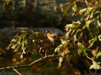 10-23-11-St Marys Lake-0952