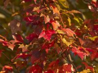 10-23-11-St Marys Lake-1003