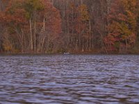 11-05-11-Rocky Gorge