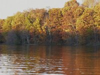 11-05-11-Rocky Gorge-1256
