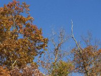 11-05-11-Rocky Gorge-1388