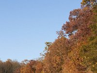 11-05-11-Rocky Gorge-1400