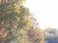 11-05-11-Rocky Gorge-1573