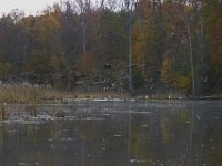 11-06-11-Mattawoman-1640