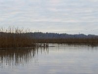 11-06-11-Mattawoman-1696