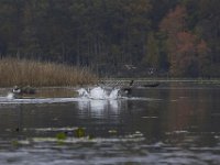 11-06-11-Mattawoman-1735
