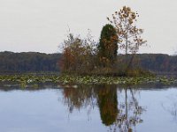 11-06-11-Mattawoman-1807