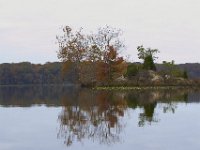 11-06-11-Mattawoman-1812