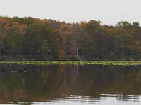 11-06-11-Mattawoman-1826