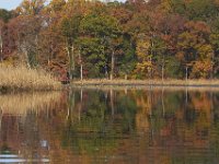 11-06-11-Mattawoman-2011