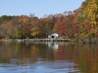 11-06-11-Mattawoman-2119