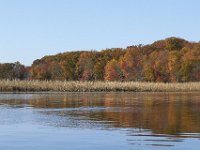 11-06-11-Mattawoman-2124
