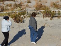 11-12-11-Assateague-2241