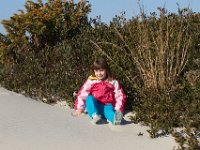 11-12-11-Assateague-2258
