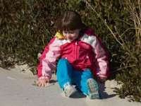 11-12-11-Assateague-2261