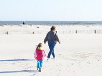 11-12-11-Assateague-2312
