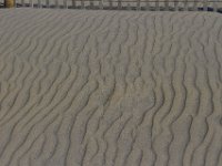 11-12-11-Assateague-2315