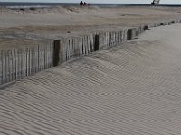 11-12-11-Assateague-2318
