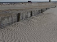 11-12-11-Assateague-2323