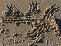 11-12-11-Assateague-2384