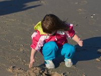 11-12-11-Assateague-2414