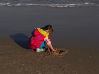 11-12-11-Assateague-2449